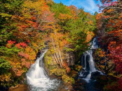 「紅葉を見に行きたい都道府県」ランキング！ 3位「北海道」、2位「栃木県」、1位は？