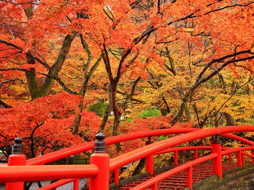 【日本の絶景クイズ】まるで錦絵のような紅葉風景を見られるのはどの都道府県？