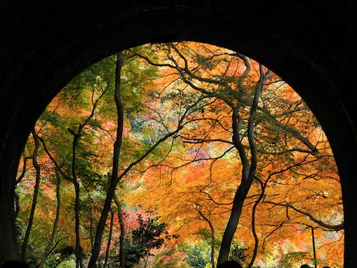 【日本の絶景クイズ】トンネル越しの幻想的な紅葉風景が見られるのはどの都道府県？