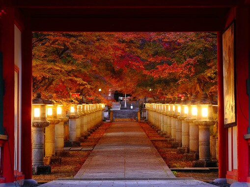 【日本の絶景クイズ】お寺の参道に現れる紅葉のトンネルが見られるのはどの都道府県？