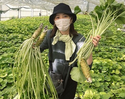 「タオルがオシャレなスカーフに見える」佐々木希の“ワサビ収穫”姿に反響！ 「何しててもかわいい」