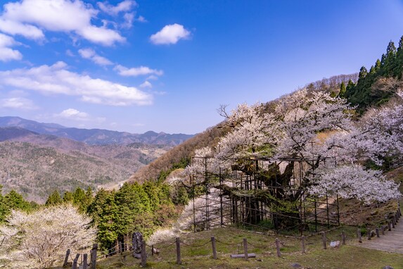 人口2〜3万人の「住みたい田舎」ランキング！ 3位 大分県国東市、2位 兵庫県養父市、1位は？