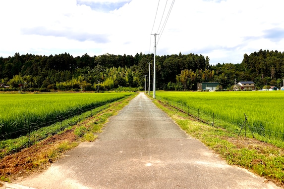 人口1万人未満の「住みたい田舎」ランキング！ 3位 長野県宮田村、2位 福島県浪江町、1位は？