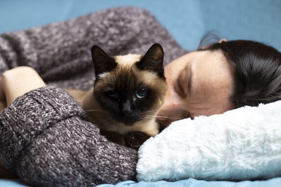 猫との添い寝で守るべきマナーとは？４つのポイント