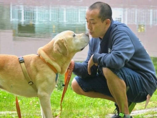 『ポチたま』出演のタレント、悪性リンパ腫と闘った愛犬“まさはる君”が虹の橋を渡ったと報告「もうね、苦しくないね。痛くないね」