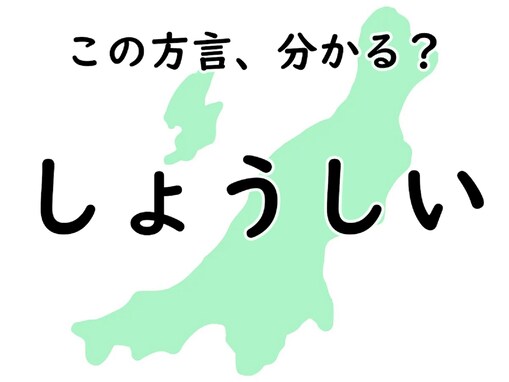 新潟県の方言「しょうしい」はどんな意味？ じっくり考えてみよう【方言クイズ】