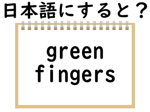 「green fingers」を日本語にすると？ 「緑の指」ってどういうこと？ 【英語クイズ】