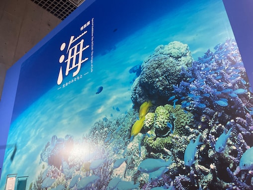 国立科学博物館で特別展「海 ―生命のみなもと―」が開催中！ 夏休みの自由研究にもおすすめ