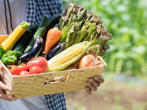 「野菜がおいしい」と思う都道府県ランキング！ 3位「京都府」、2位「長野県」、1位は？