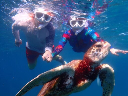 「ラブラブだぁ」峯岸みなみ、夫・てつやと“恋人繋ぎ”シュノーケリング姿を披露！ 「かわちすぎる」