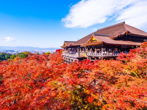 「紅葉を見に行きたい」と思う都道府県ランキング！ 2位「栃木県」、1位は？