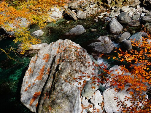 秋が見頃の絶景スポットランキング！ 2位は高知県の「仁淀川」、1位は幻想的な兵庫県の……？