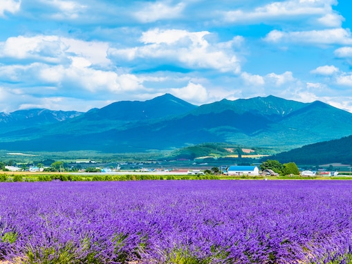 「気候が良い」と思う都道府県ランキング！ 2位「北海道」に大差をつけて1位となったのは？