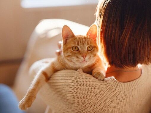 愛猫が飼い主さんに依存してしまうのはなぜ？３つの理由と対処法