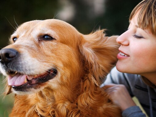 犬は話しかけると寿命が延びる？たくさん声をかける５つのメリットや幸福度が上がるスキンシップとは
