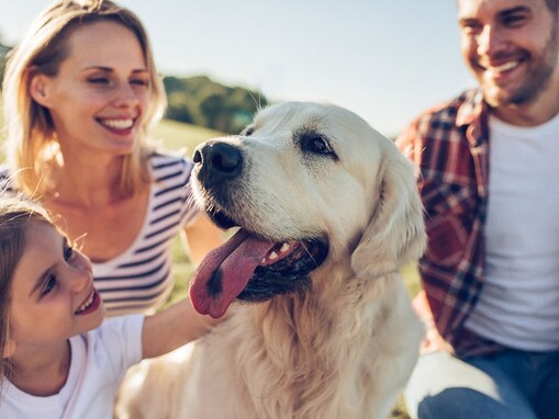 愛犬が家族だけにする行動５選！深い信頼関係を築けている人にする仕草とは？