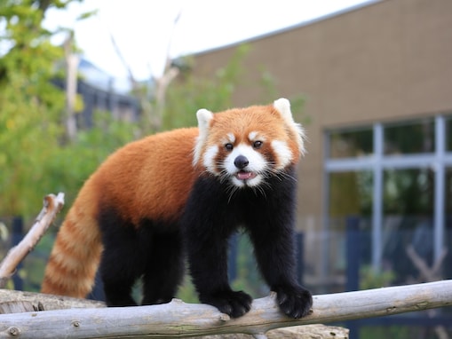 【北海道民が選ぶ】北海道の人気デートスポットランキング！ 札幌市「円山動物園」を抑えた1位は？