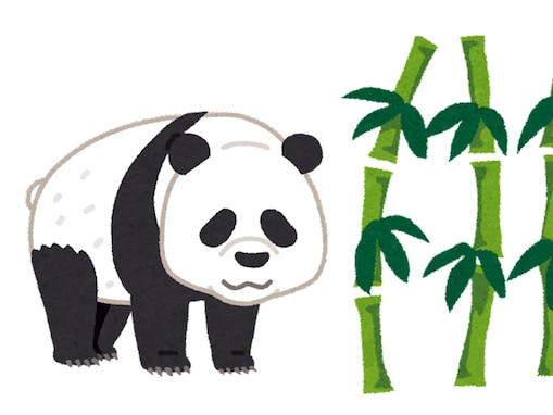 なぜ肉食動物なのに“竹”が主食なのか？ 白黒の体毛の“意外な理由”も…【3月11日はパンダ発見の日】