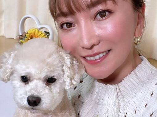 加藤綾菜、愛犬が夫・加藤茶に似ていると話題に！ 「カトちゃんにソックリ」「すごく似ている。かわいい」