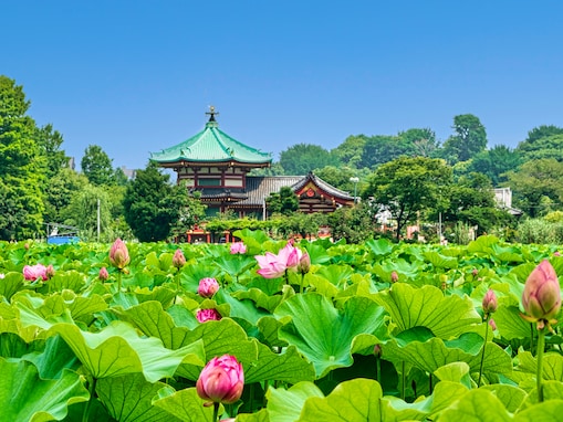 子どもと一緒に行きたい関東の公園ランキング！ 「上野公園（動物園）」を抑えた1位は？