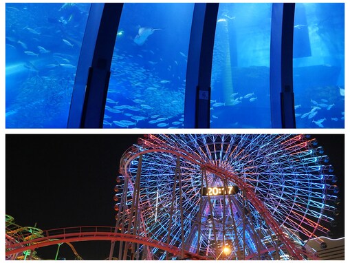 【横浜】「デートしたい」テーマパーク・動物園・水族館ランキング！ 2位「よこはまコスモワールド」、1位は？