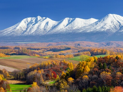 フォトジェニックな場所が多いと思う都道府県ランキング！ 2位「北海道」、1位は？