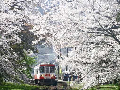 岐阜県民が選んだ「街の住みここち（自治体）」ランキング！ 2位「本巣市」を抑えた1位は？