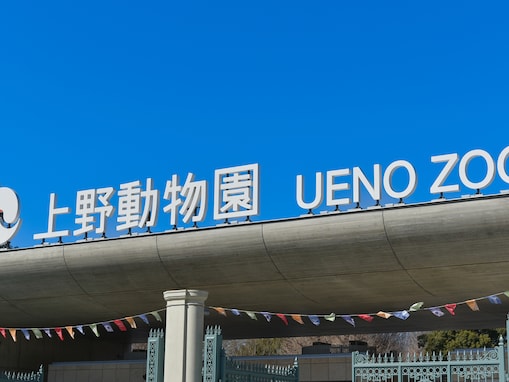 行ってよかった動物園・水族館ランキング！ 「上野動物園」を抑えた同率1位は？【2024年7月調査】