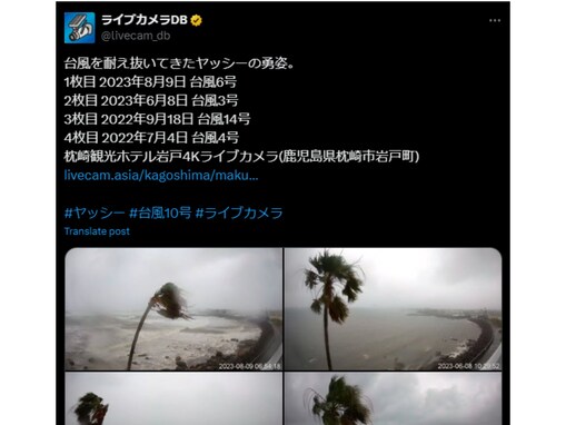 「台風を耐え抜いてきたヤッシーの勇姿」を公開！ 「ヤッシー頑張ってるけどとても心配」「今回も耐え抜いてくれ!!」