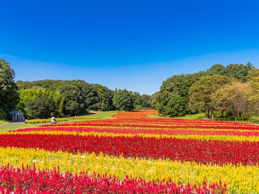 住み続けたい「埼玉県の自治体」ランキング！ 2位「比企郡滑川町」、1位は？