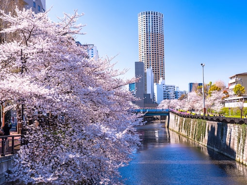 10万人の東京都民に聞いた「住み続けたい自治体」ランキング！ 2位「目黒区」、1位は？