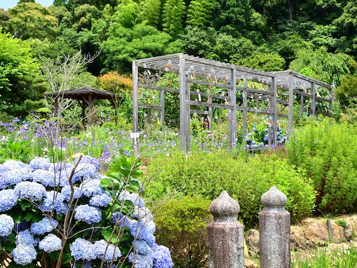 県民が選ぶ「静岡県の住み続けたい街（自治体）」ランキング！ 「周智郡森町」を抑えた1位は？