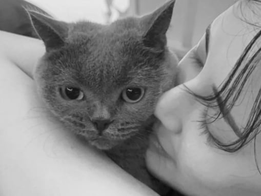 「ムンク様解禁」結婚した藤井夏恋、初登場の“家族”を公開！ 「可愛いツーショット」