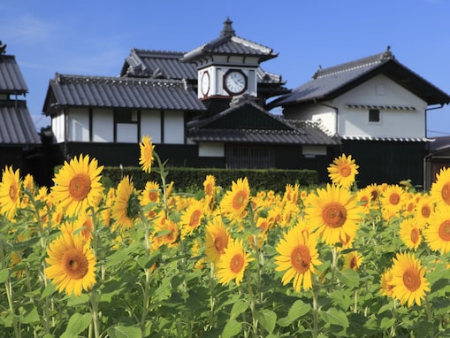 幸福度が高い「高知県の街（自治体）」ランキング！ 2年連続1位は「安芸市」、では続く2位は？