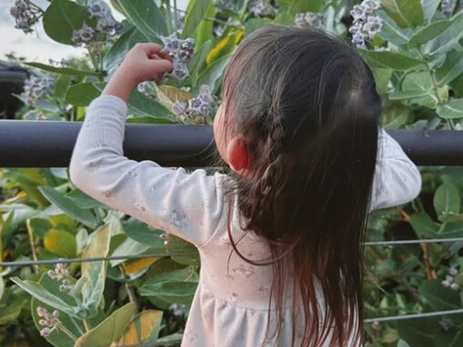 「妖精ですね」吉川ひなの、3歳娘のかわいらしい姿に反響！ 「可愛い過ぎる」「ほっこり」