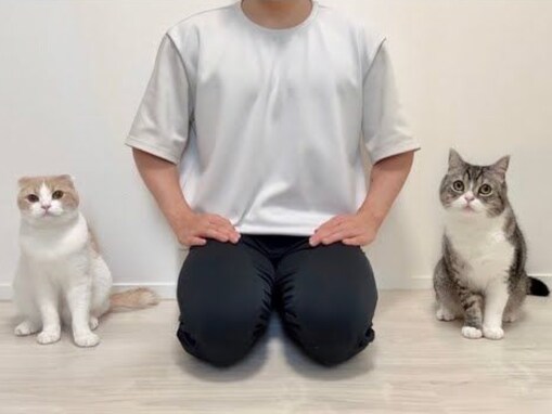 もちまる日記、一時活動休止の“真相”明かす「驚きで言葉がありません」「泣けて来ちゃいました」