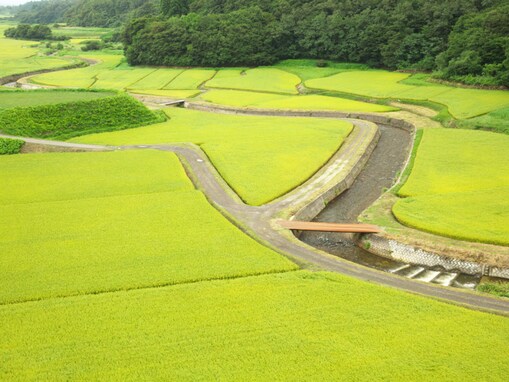 「ナンバープレートにしたい」と思う秋田県の地名ランキング！ 2位「男鹿市」、1位は？
