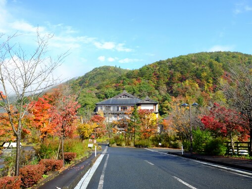 「ナンバープレートにしたい」と思う岩手県の地名ランキング！ 2位「花巻市」、1位は？