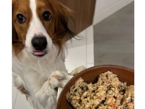 「真美子さん特製なのかな？」大谷翔平、“山本由伸先生による超大作”公開。デコピンも登場「センス良くて器用」