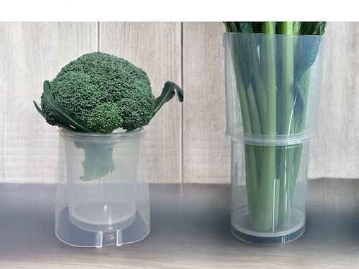 【ダイソー】野菜に合わせて形が変えられる!? 「野菜イキイキスタンド」4つの便利機能