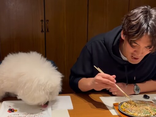 「ママが仕事だから2人でご飯」槙野智章、愛犬と食事へ！ 「親子な感じが可愛い」「デートですね」