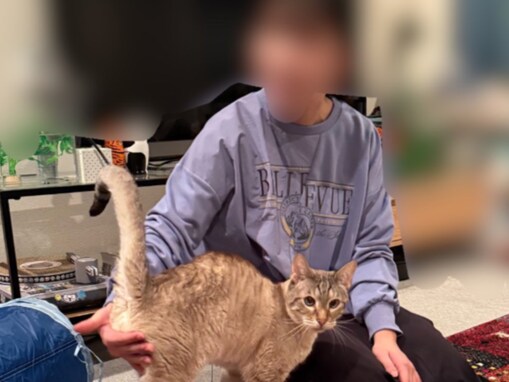 やす子、“毎日超楽しい”自宅でのプライベート写真に反響！ 「同級生『あ、隠してあげなきゃ』」