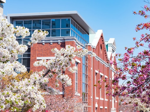 大阪で人気の「桜の名所」ランキング！ 造幣局の「桜の通り抜け」を抑えた1位は？