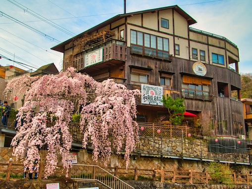 兵庫で人気の「桜の名所」ランキング！ 「有馬温泉」を抑えた1位は？
