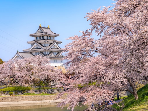岐阜で人気の「桜の名所」ランキング！ 「墨俣一夜城・犀川堤の桜」を抑えた1位は？