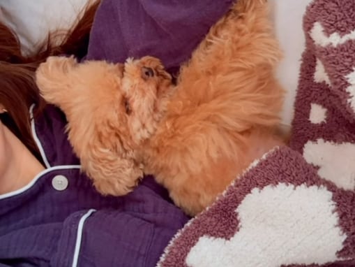 「そばにいられる時間を優先」紗栄子、撮影会中止の理由を説明。ファンから「皆それを望んでる」の声