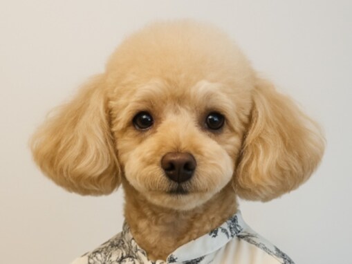 「ChatGPTに犬にしてくださいと伝えたら」浅田真央が犬に!? 「エアロだ！」「違和感なくて笑ってしもた」