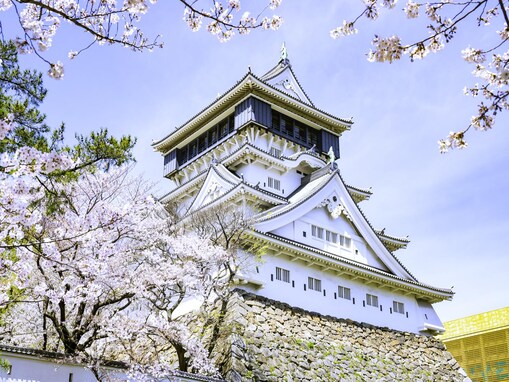 福岡で人気の「桜の名所」ランキング！ 「小倉城」を抑えた1位は？