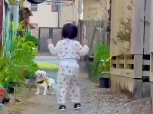 「娘ちゃんですか？」あびる優、第2子？ と犬のほっこり動画を披露！ 「かわいい」「癒ししかない」
