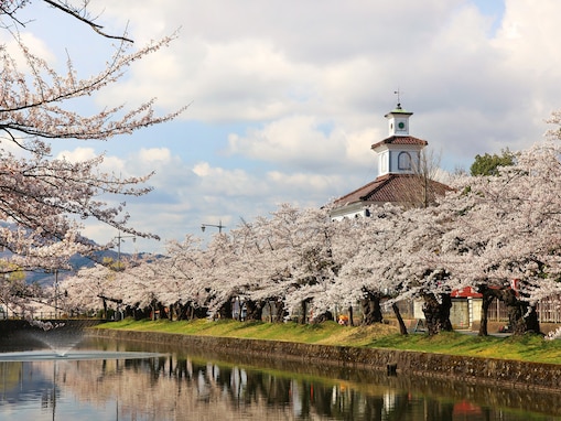 山形で人気の「桜の名所」ランキング！ 「鶴岡公園」と同率1位だったのは？